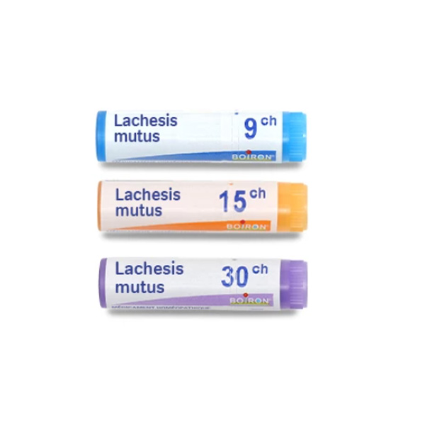 Boiron Lachesis mutus unidose