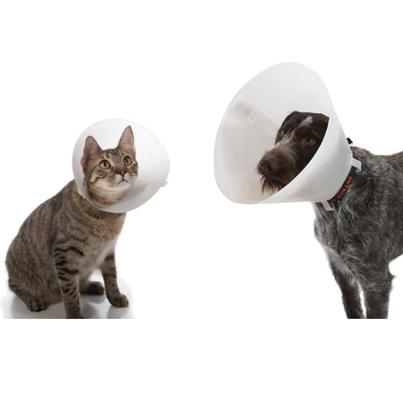 Collerette chien et chat