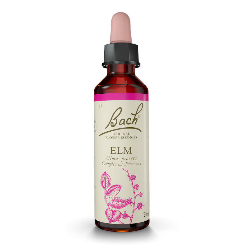 Elixir Floral Elm n°11 Fleurs de Bach