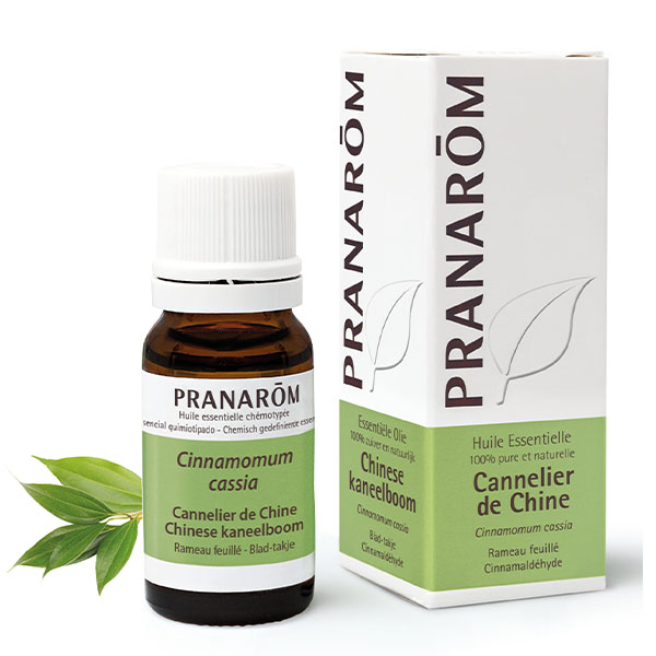 Pranarom huile essentielle Cannelle de chine