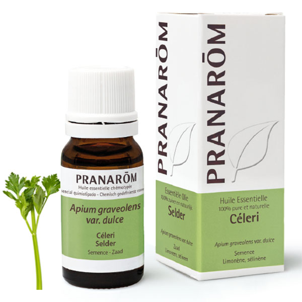 Pranarom huile essentielle Céleri complément alimentaire