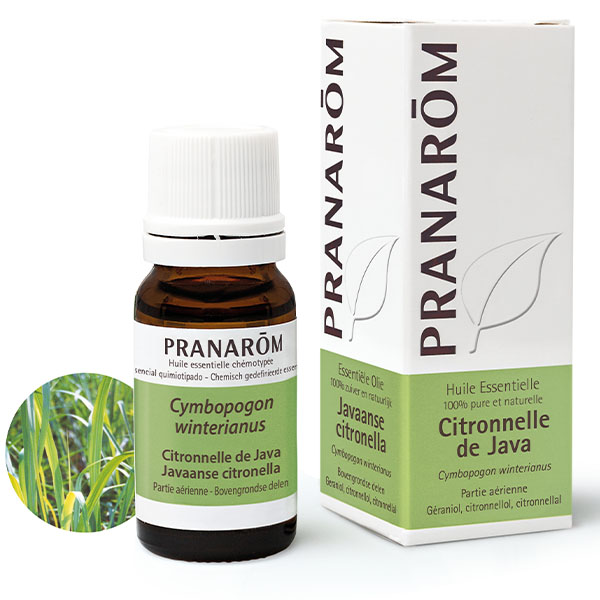Huile essentielle Citronnelle Java Pranarom