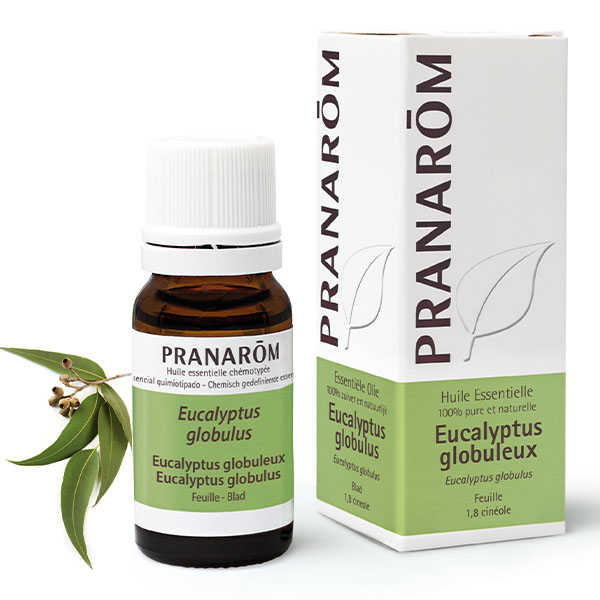 Huile essentielle Eucalyptus globulus Pranarom