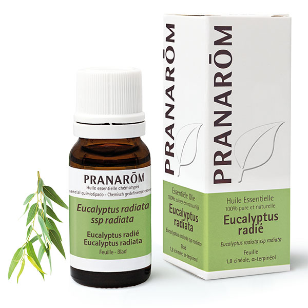 Huile essentielle Eucalyptus radié Pranarom