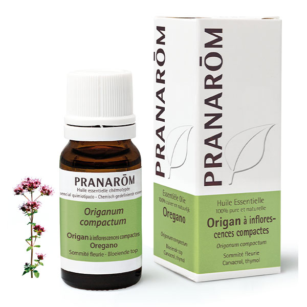 Origan Pranarom huile essentielle antiinfectieuse