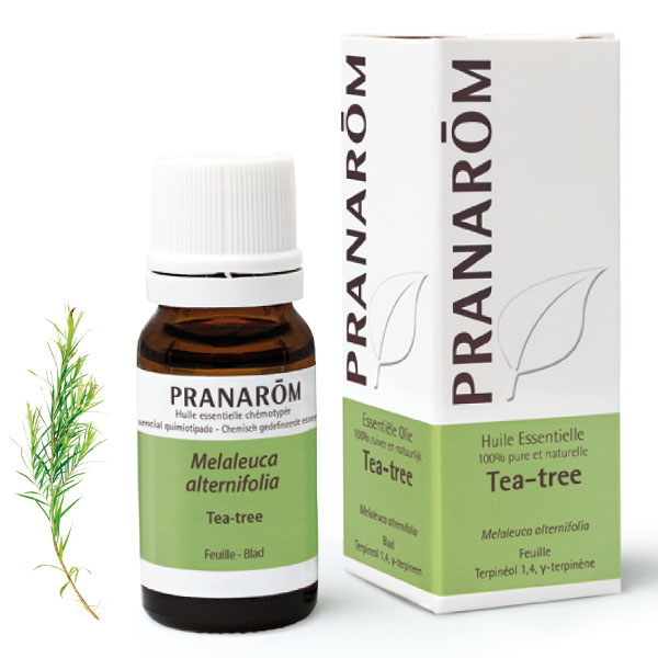 Pranarom Huile essentielle Arbre à thé