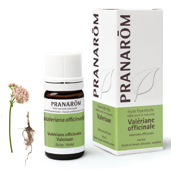 Pranarom HE valériane officinale