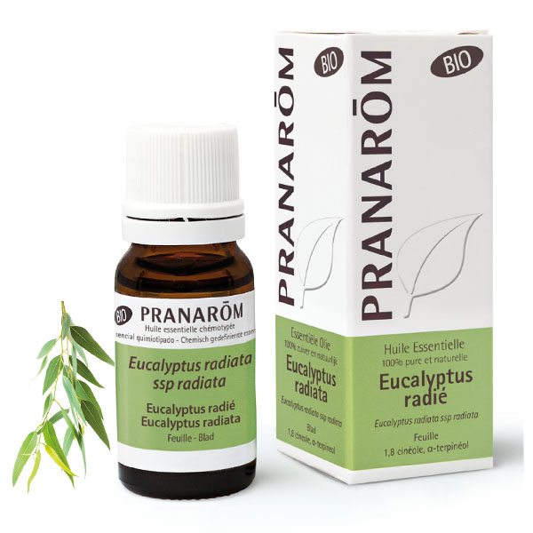 Pranarom Bio huile essentielle d'Eucalyptus radié