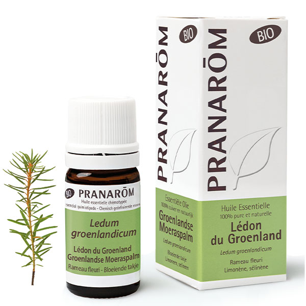Lédon du groenland Bio Pranarom huile essentielle