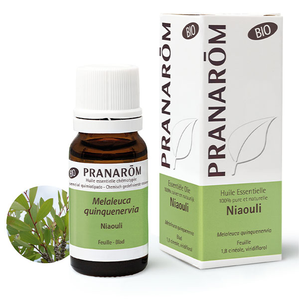 Pranarom Niaouli huile essentielle bio