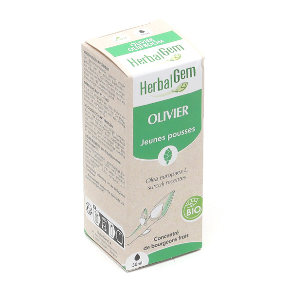 Herbalgem Macérat de bourgeons Olivier bio