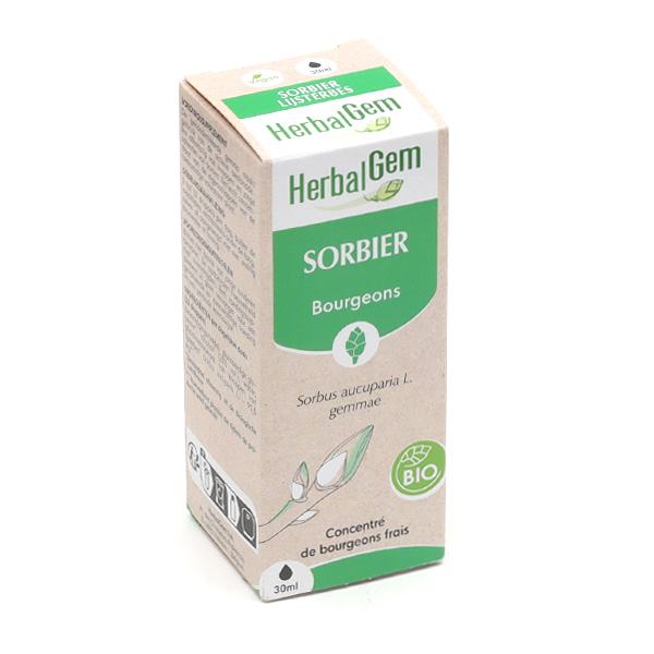 Extrait Herbalgem de bourgeons de Sorbier bio