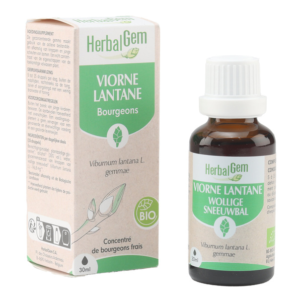 Extrait Herbalgem de bourgeons de Viorne Lantane bio