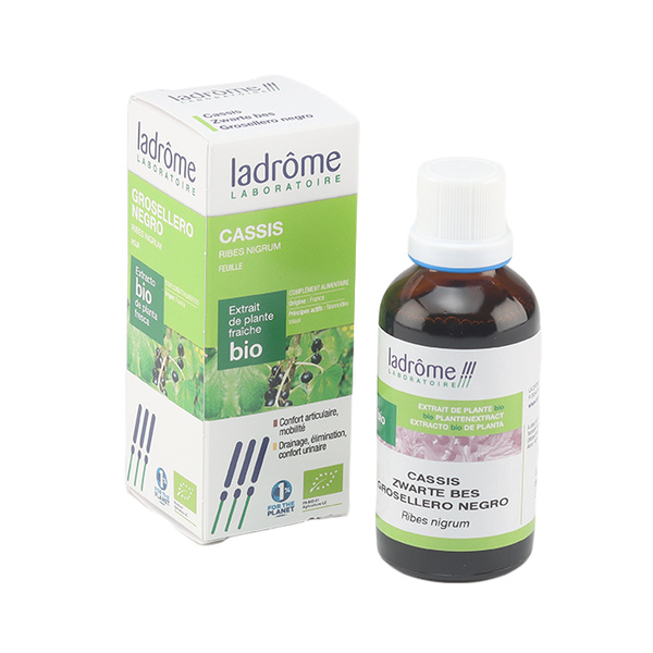 Ladrome Bio extrait de plante fraîche Cassis
