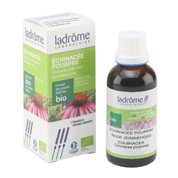 Ladrôme bio extrait de plante fraîche echinacée pourpre