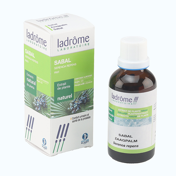 Ladrôme extrait de plante naturel Sabal