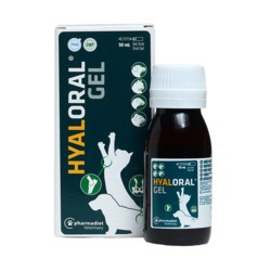 Hyaloral Gel oral