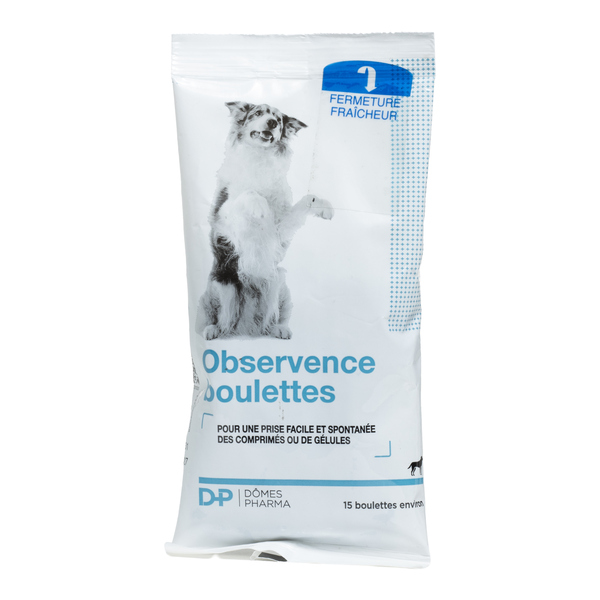 Observence boulettes chien