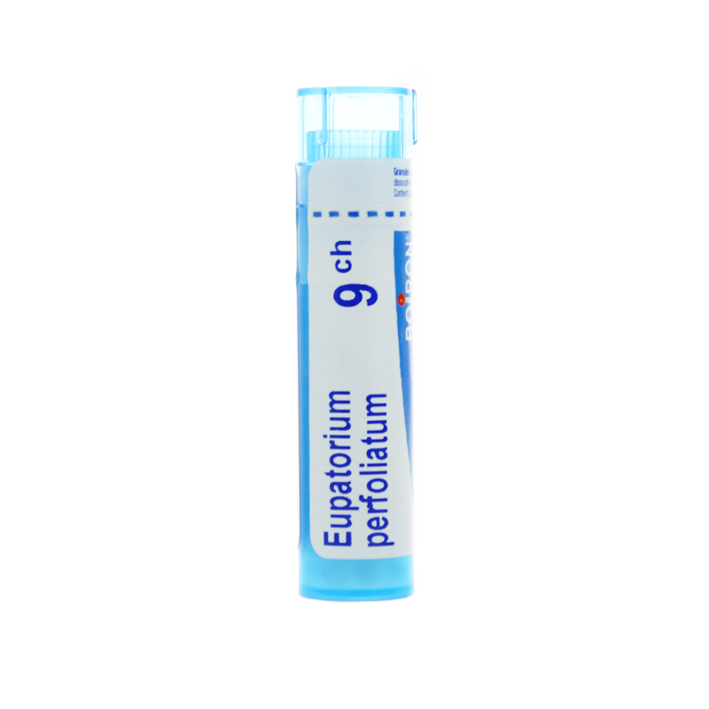 Boiron Eupatorium perfoliatum granules
