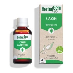 HerbalGem Cassis Bio