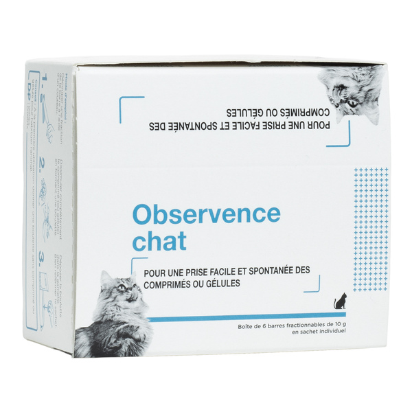 Observence chat pâte appétente