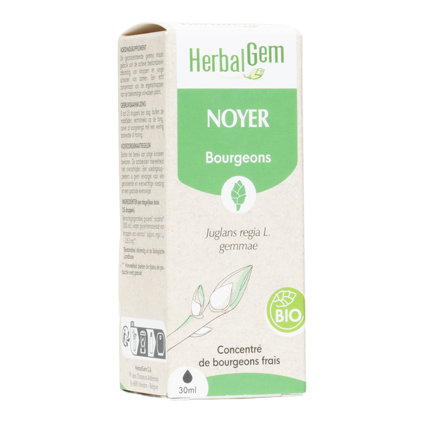 Noyer Macérat de bourgeons bio