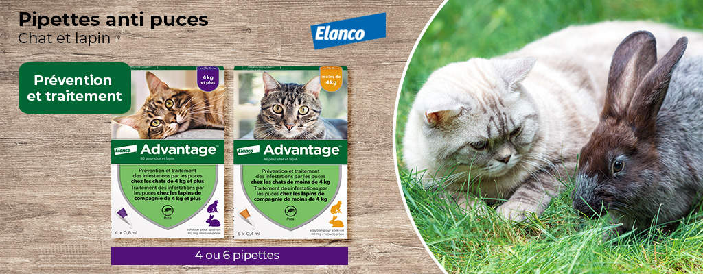Elanco Advantage