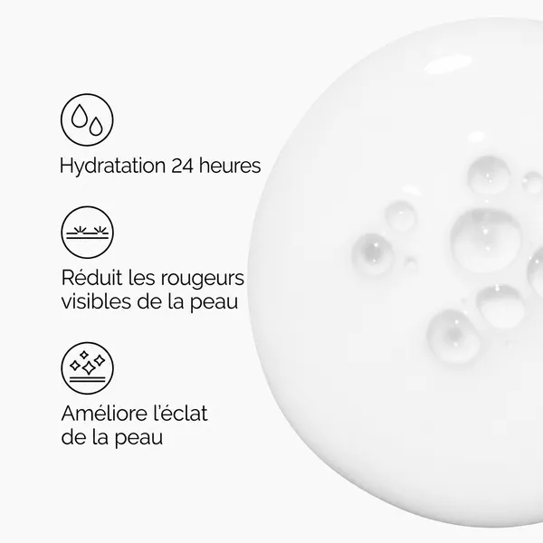 The Ordinary Microémulsion de Lipides de Riz + Ectoïne