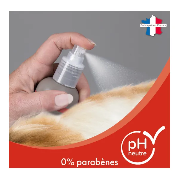 Beaphar Shampooing sec pour chat