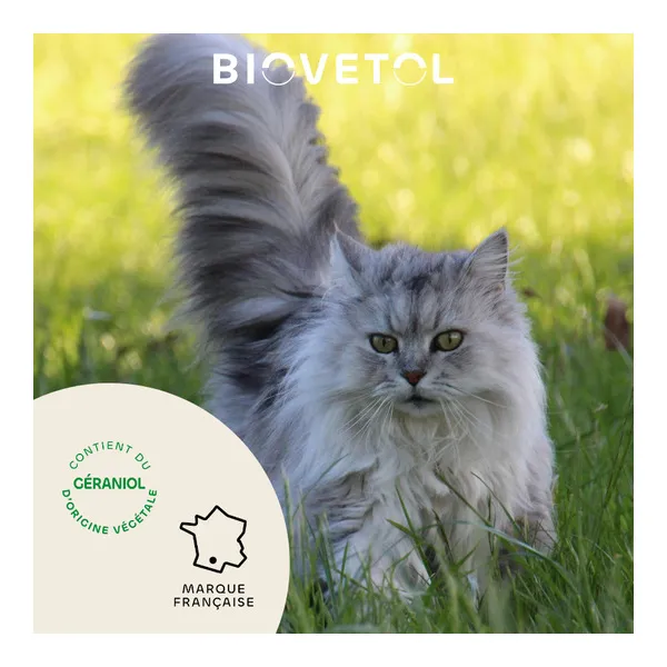 Collier anti puce chat Biovetol