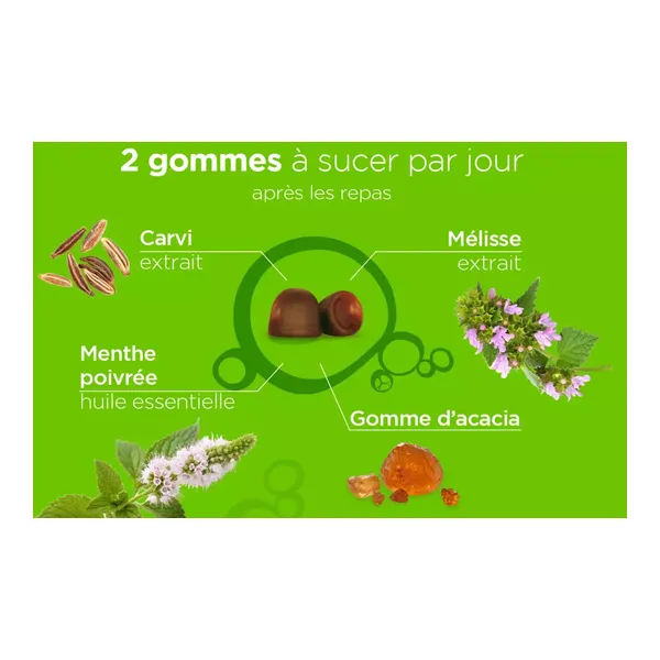 Lehning Pâte suisse Digestion gommes