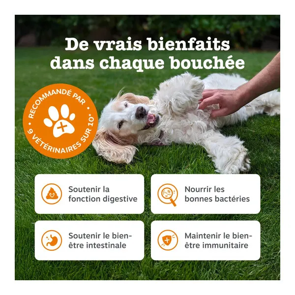 Zesty Paws Digestion Friandises pour chien