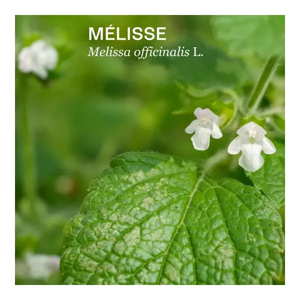 Naturactive Seriane Sommeil gélules