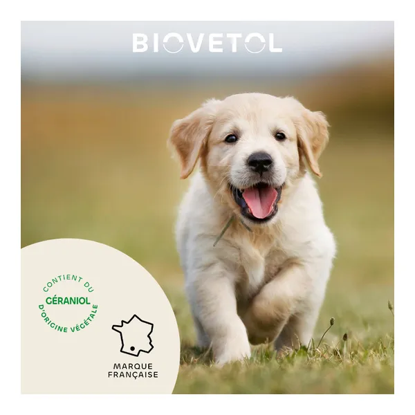 Collier anti puce chien Biovetol