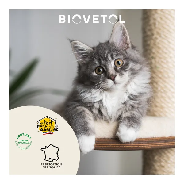 Probiotique chat et chaton Regul Transit Biovetol comprimés