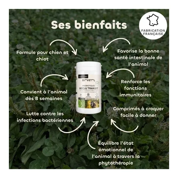 Probiotique chien et chiot Biovetol Régul Transit comprimés