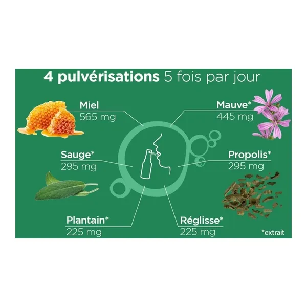 Lehning Propomax Gorge spray fort bio