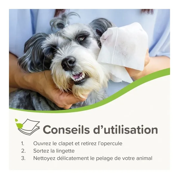 Beaphar Lingettes nettoyantes pour Chien et Chat