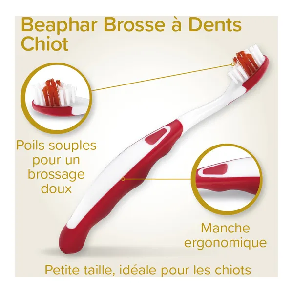 Beaphar Kit dentaire chiot