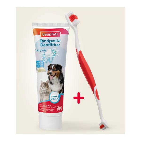 Beaphar Brosse à dents et dentifrice Chien Chat