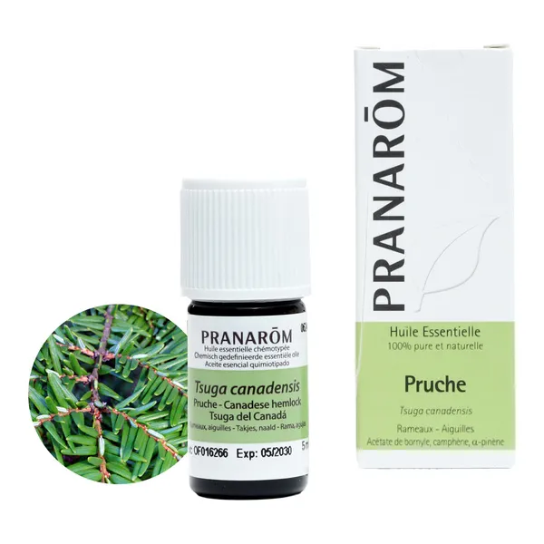 Pranarom Huile essentielle Pruche