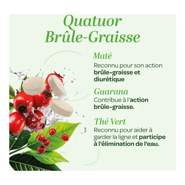 Super Diet Quatuor brûle-graisse bio comprimés