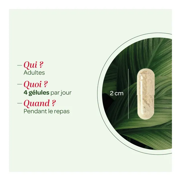 Super Diet Quatuor Circulation Bio gélules
