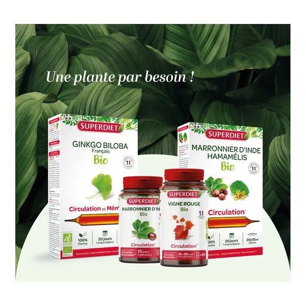 Super Diet Quatuor Circulation Bio gélules
