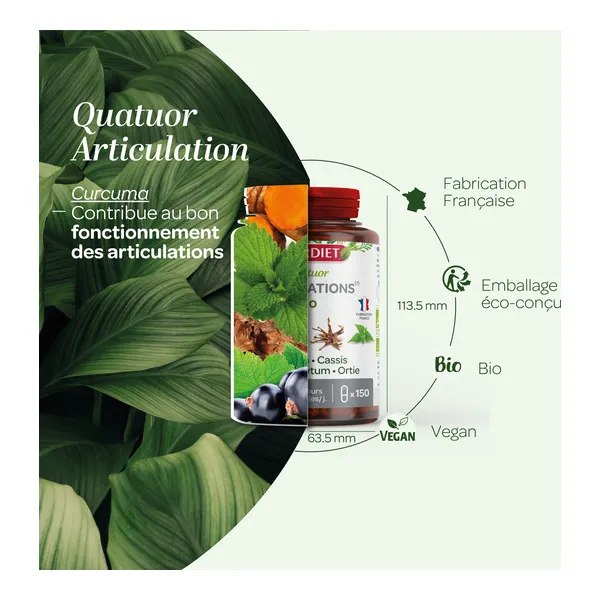 Super Diet Quatuor Curcuma Cassis Harpagophytum et Ortie bio gélules