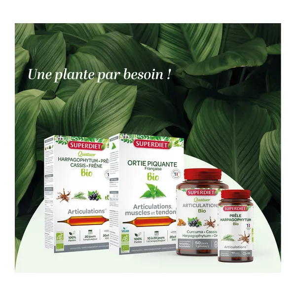 Super Diet Quatuor Curcuma Cassis Harpagophytum et Ortie bio gélules