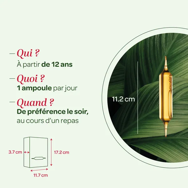 Super Diet Artichaut bio ampoules