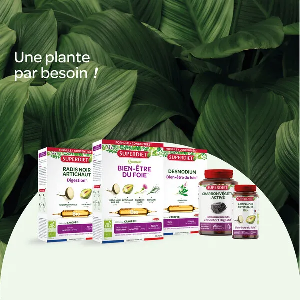 Super Diet Artichaut bio ampoules
