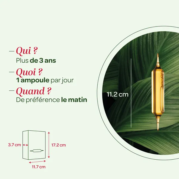 Super Diet Pur jus de Myrtille bio ampoules