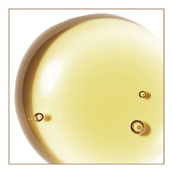 Natessance huile de noisette Bio